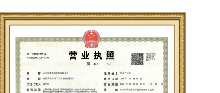 Business License