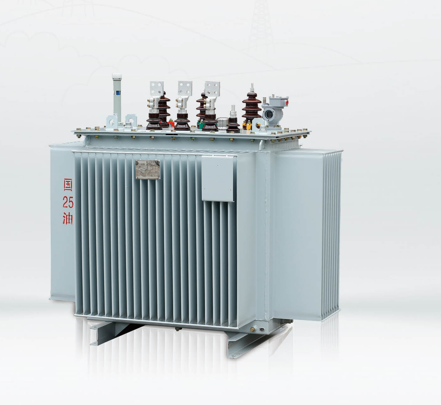 Oil-Immersed Power Transformer
